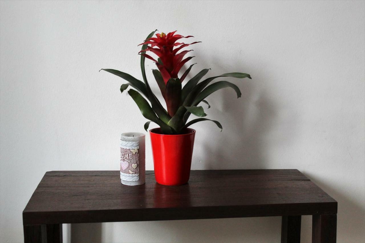 Apartament W Centrum